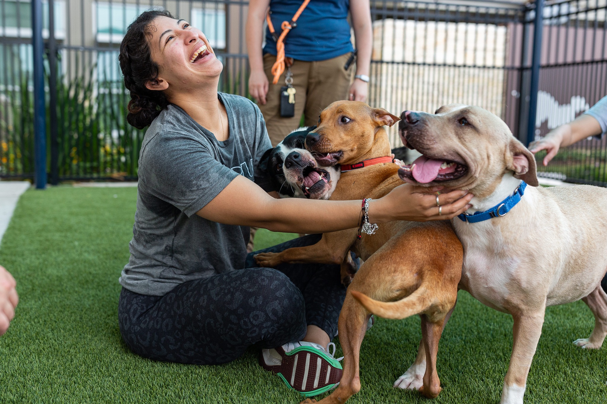 A woman sitting outside and playing with dogs.
